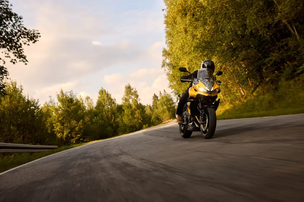 Triumph tiger sport 800 en el camino sinuoso del bosque